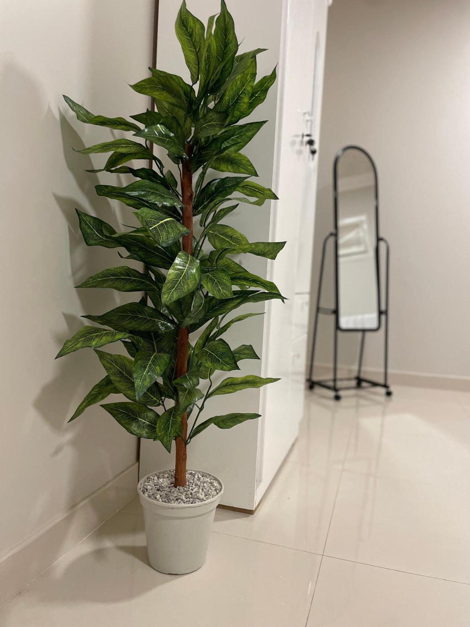 استديو جميل 2 Appartement *